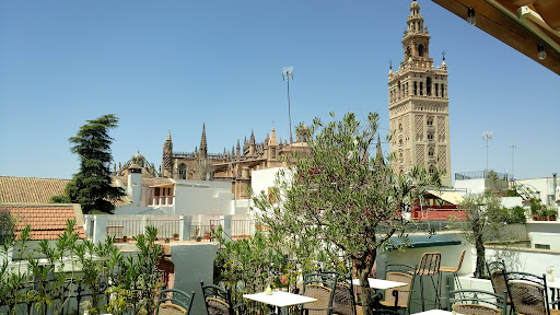 38784 terraza fulton 2