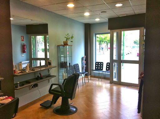 39143 toni peluquero 2