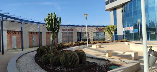 39174 torneo parque empresarial 1