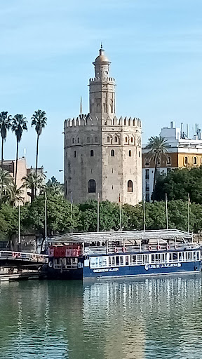 39205 torre del oro