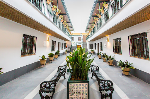 39354 triana boutique apartments by hommyhome