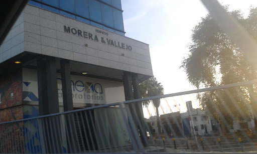 39642 vallejo morera group s l