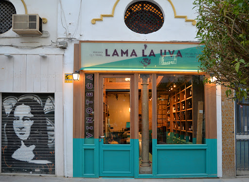 39877 vinoteca lama la uva 2