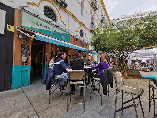 39880 vinoteca lama la uva 2