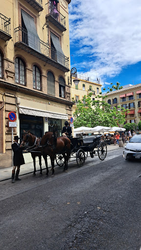 5680 ap gestion inmobiliaria