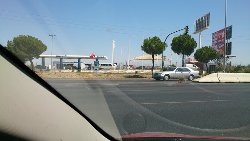 6295 alandalus rentacar sevilla