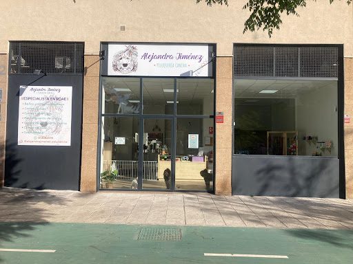 6391 alejandra jimenez peluqueria canina 2