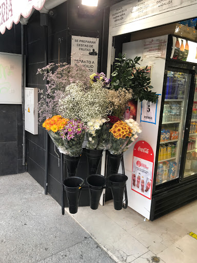 6498 alimentacion mendiz bocadillos chacina panaderia y fruteria san bernardo viapol sevilla 1