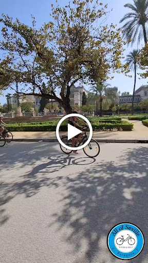 6515 all of seville bike rental tours 1