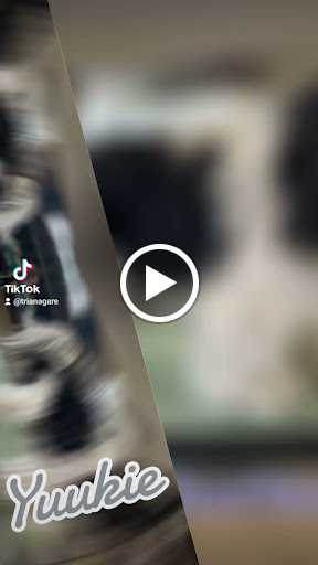 6618 alquimia peluqueria canina sevilla 1