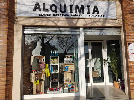 6618 alquimia peluqueria canina sevilla 2