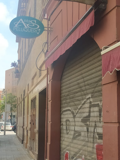 6915 antas peluqueros 2
