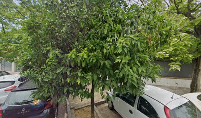 7157 aparcamiento discapacitados 1