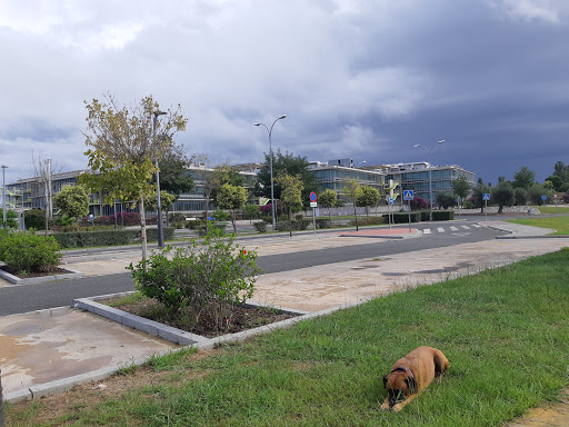 7238 aparcamiento palmas altas