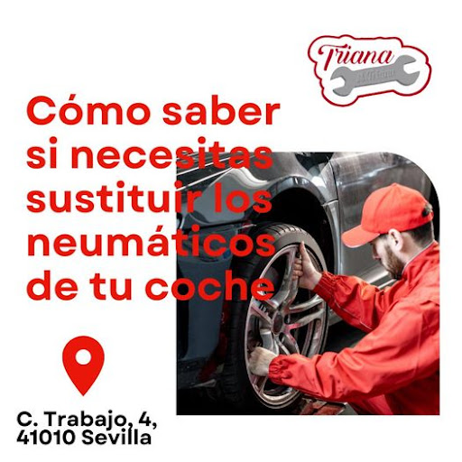 7971 automecanica triana