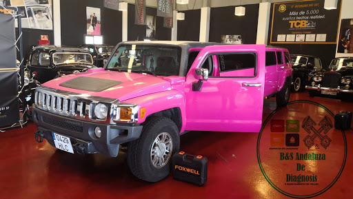 8274 bs andaluza de diagnosis