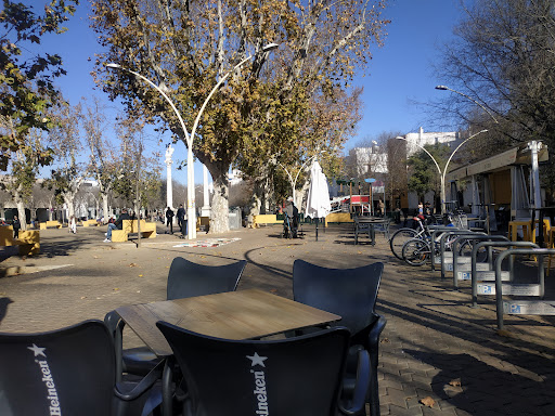 8690 bar cafe eureka 1