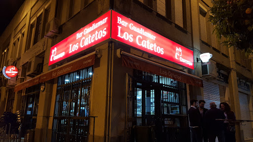 9565 bar guadiamar los catetos 2